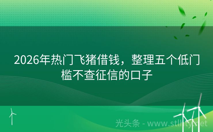 2026年热门飞猪借钱，整理五个低门槛不查征信的口子