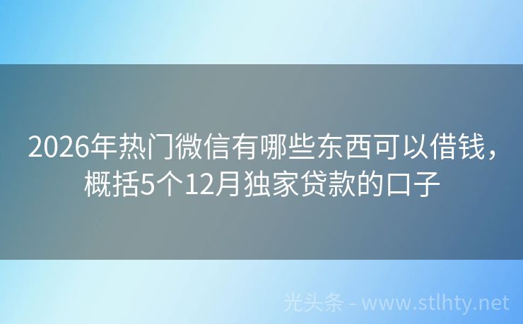 2026年热门微信有哪些东西可以借钱，概括5个12月独家贷款的口子