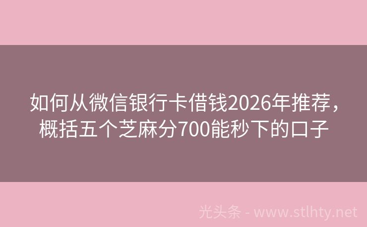 如何从微信银行卡借钱2026年推荐，概括五个芝麻分700能秒下的口子