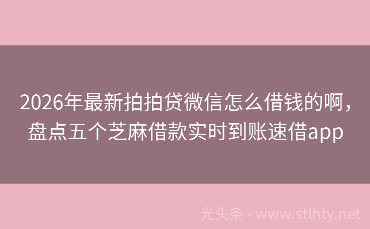 2026年最新拍拍贷微信怎么借钱的啊，盘点五个芝麻借款实时到账速借app