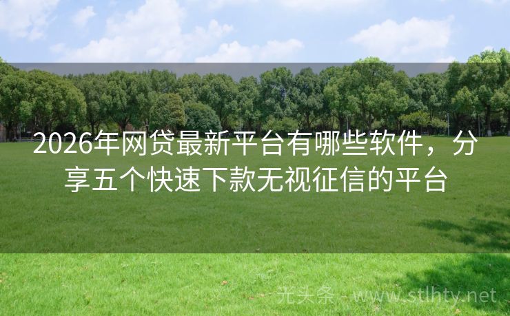 2026年网贷最新平台有哪些软件，分享五个快速下款无视征信的平台