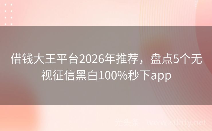 借钱大王平台2026年推荐，盘点5个无视征信黑白100%秒下app