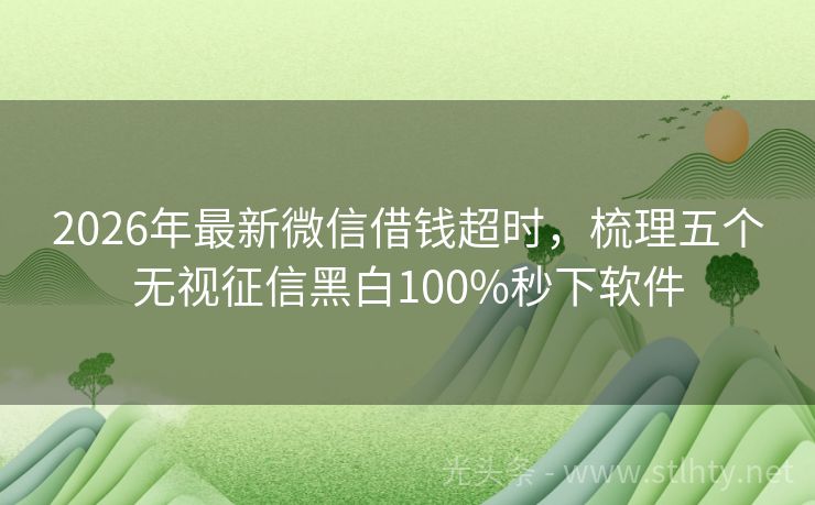 2026年最新微信借钱超时，梳理五个无视征信黑白100%秒下软件