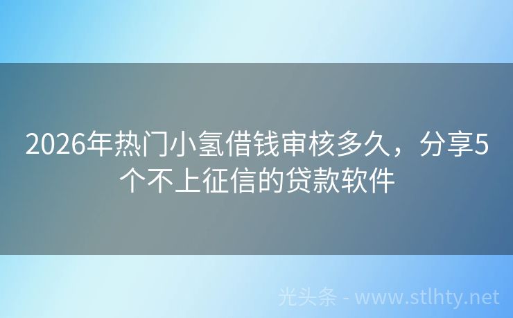 2026年热门小氢借钱审核多久，分享5个不上征信的贷款软件