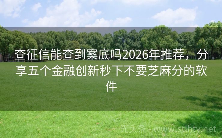 查征信能查到案底吗2026年推荐，分享五个金融创新秒下不要芝麻分的软件