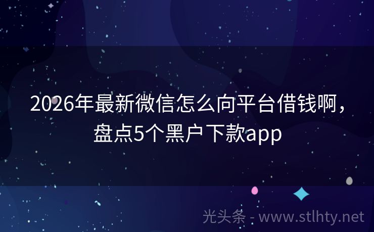 2026年最新微信怎么向平台借钱啊，盘点5个黑户下款app