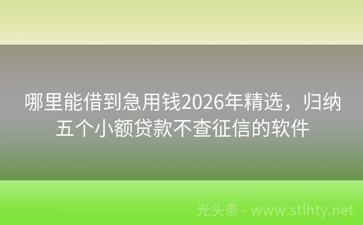 哪里能借到急用钱2026年精选，归纳五个小额贷款不查征信的软件