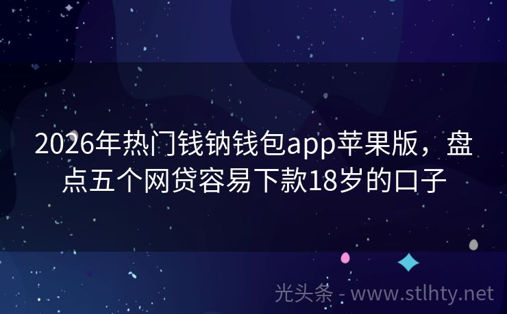 2026年热门钱钠钱包app苹果版，盘点五个网贷容易下款18岁的口子