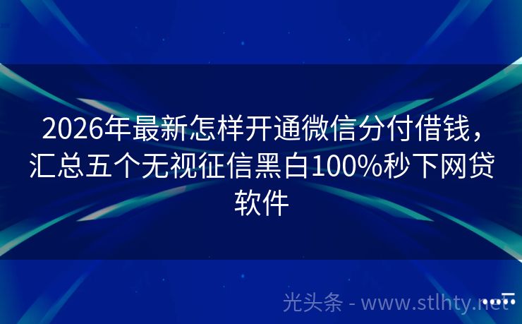 2026年最新怎样开通微信分付借钱，汇总五个无视征信黑白100%秒下网贷软件