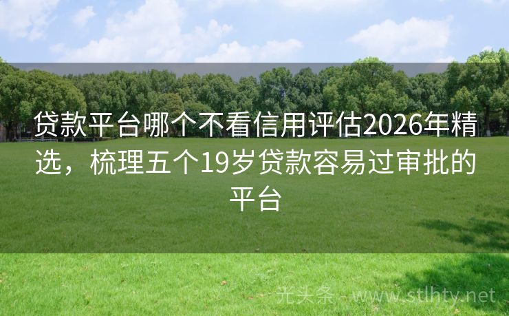 贷款平台哪个不看信用评估2026年精选，梳理五个19岁贷款容易过审批的平台