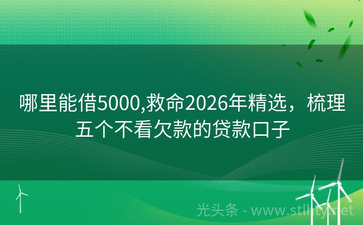 哪里能借5000,救命2026年精选，梳理五个不看欠款的贷款口子