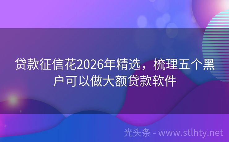 贷款征信花2026年精选，梳理五个黑户可以做大额贷款软件