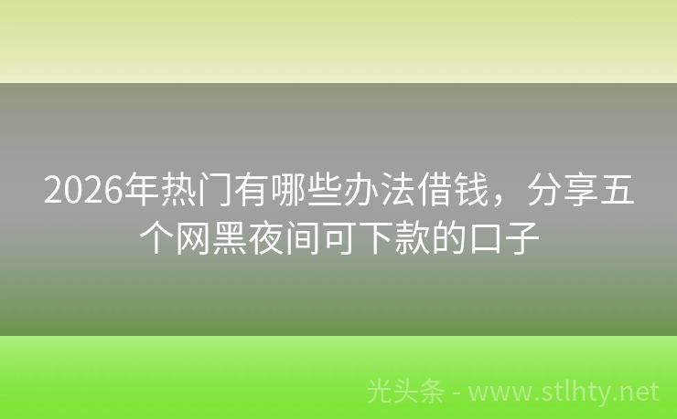 2026年热门有哪些办法借钱，分享五个网黑夜间可下款的口子