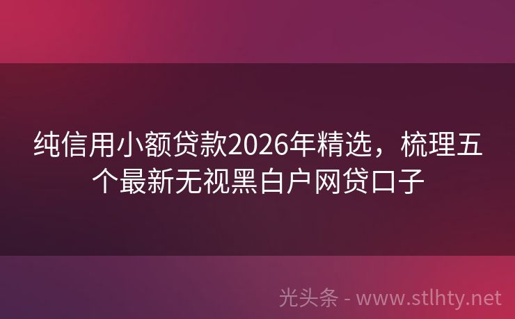纯信用小额贷款2026年精选，梳理五个最新无视黑白户网贷口子