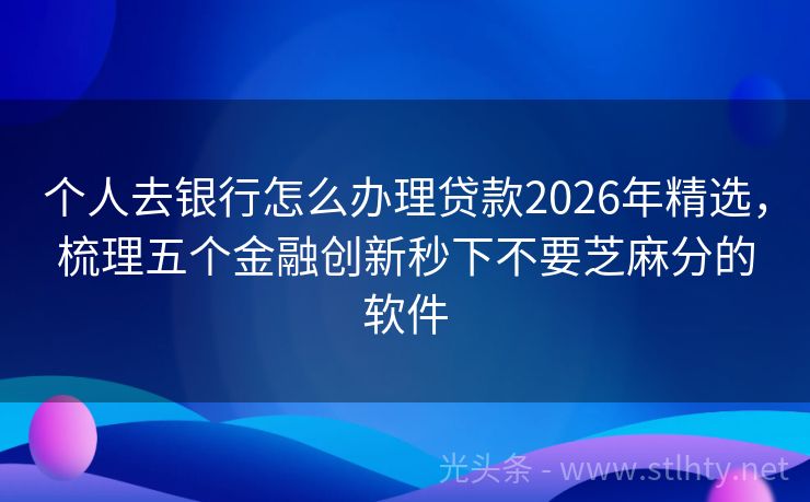 个人去银行怎么办理贷款2026年精选，梳理五个金融创新秒下不要芝麻分的软件