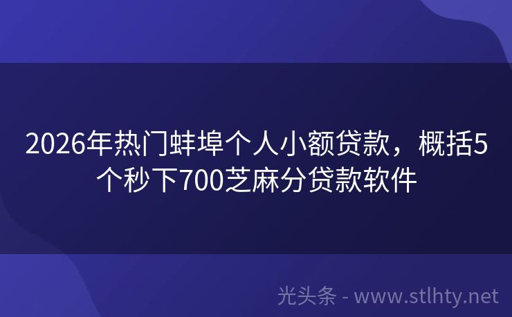 2026年热门蚌埠个人小额贷款，概括5个秒下700芝麻分贷款软件