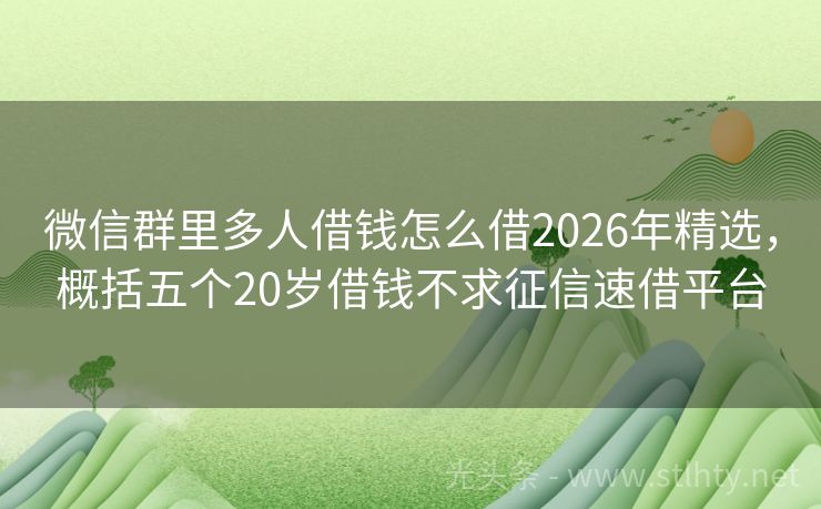 微信群里多人借钱怎么借2026年精选，概括五个20岁借钱不求征信速借平台