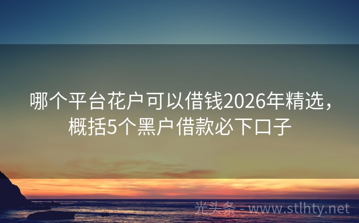 哪个平台花户可以借钱2026年精选，概括5个黑户借款必下口子
