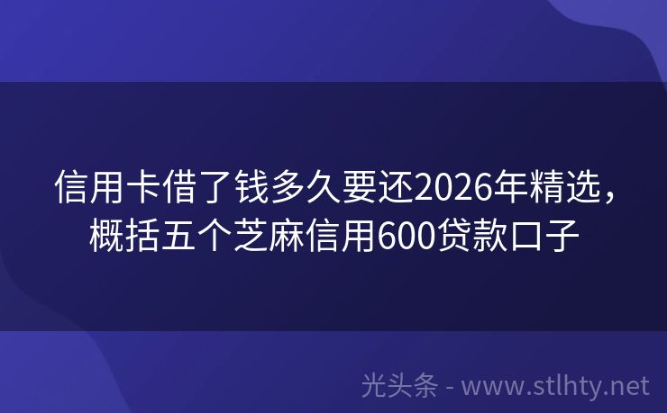 信用卡借了钱多久要还2026年精选，概括五个芝麻信用600贷款口子
