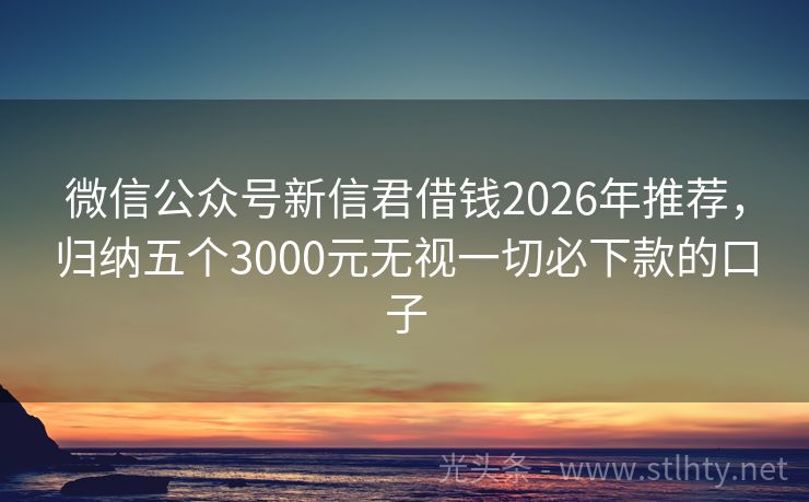 微信公众号新信君借钱2026年推荐，归纳五个3000元无视一切必下款的口子