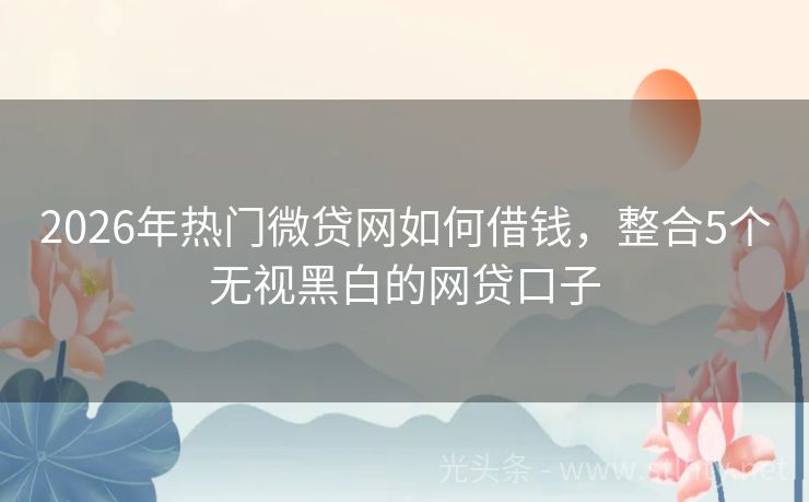 2026年热门微贷网如何借钱，整合5个无视黑白的网贷口子