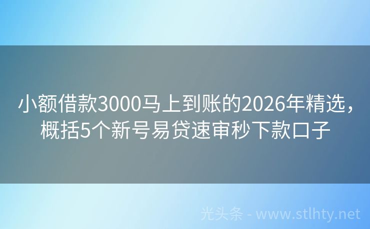 小额借款3000马上到账的2026年精选，概括5个新号易贷速审秒下款口子