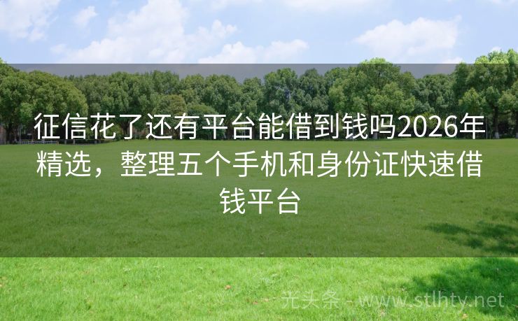 征信花了还有平台能借到钱吗2026年精选，整理五个手机和身份证快速借钱平台