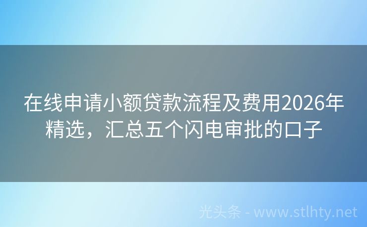在线申请小额贷款流程及费用2026年精选，汇总五个闪电审批的口子