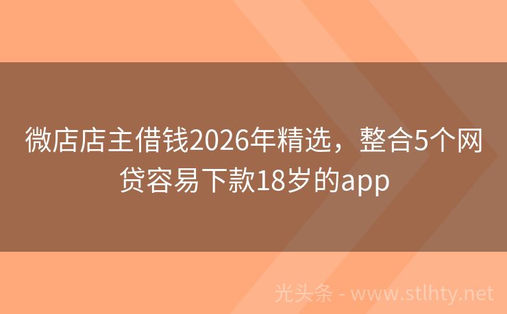 微店店主借钱2026年精选，整合5个网贷容易下款18岁的app