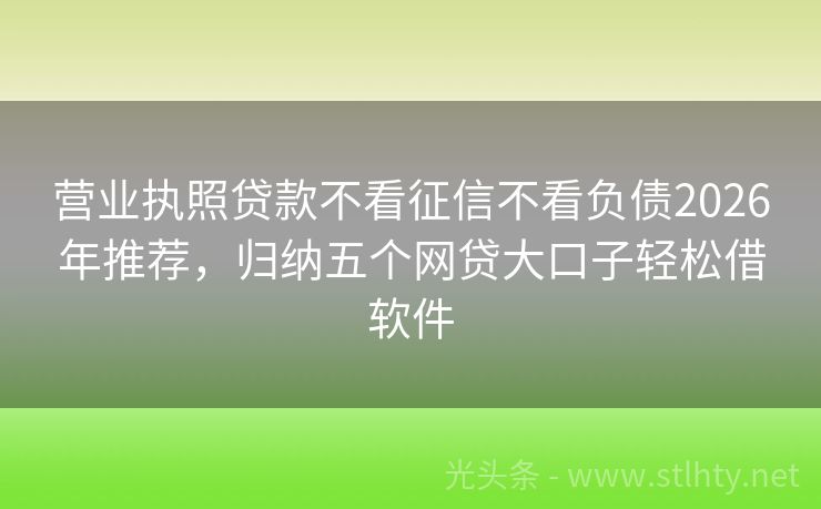 营业执照贷款不看征信不看负债2026年推荐，归纳五个网贷大口子轻松借软件