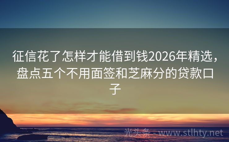 征信花了怎样才能借到钱2026年精选，盘点五个不用面签和芝麻分的贷款口子