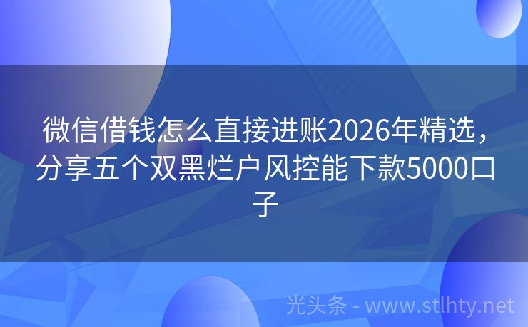 微信借钱怎么直接进账2026年精选，分享五个双黑烂户风控能下款5000口子
