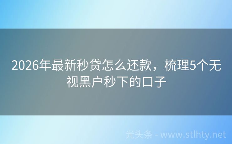 2026年最新秒贷怎么还款，梳理5个无视黑户秒下的口子