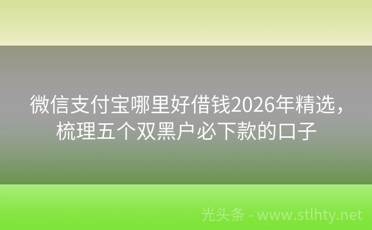 微信支付宝哪里好借钱2026年精选，梳理五个双黑户必下款的口子