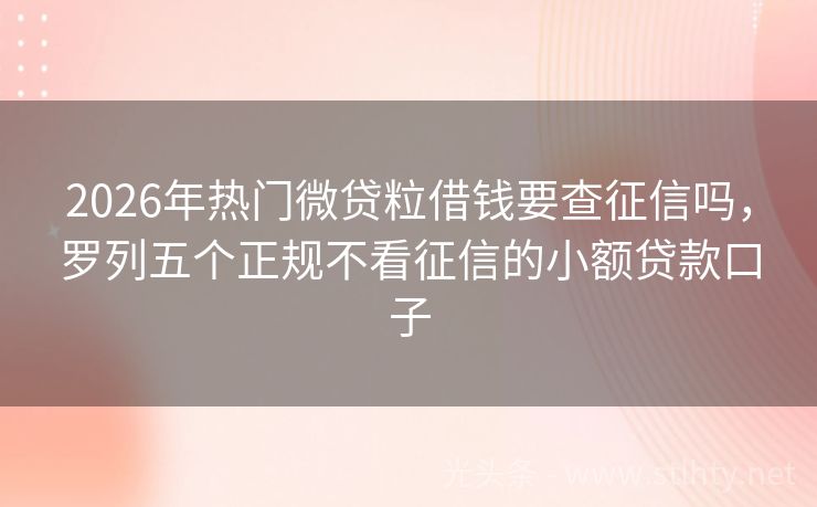 2026年热门微贷粒借钱要查征信吗，罗列五个正规不看征信的小额贷款口子