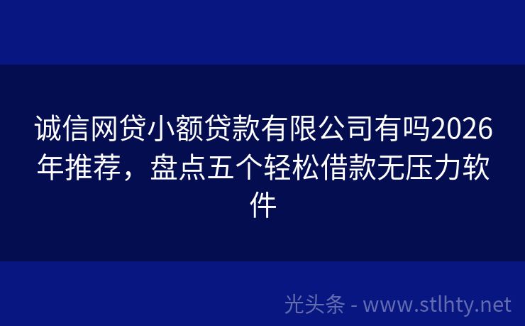 诚信网贷小额贷款有限公司有吗2026年推荐，盘点五个轻松借款无压力软件