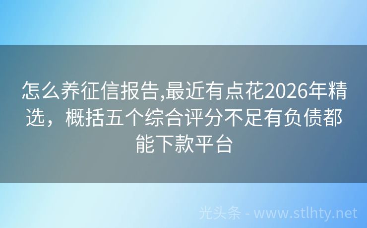 怎么养征信报告,最近有点花2026年精选，概括五个综合评分不足有负债都能下款平台