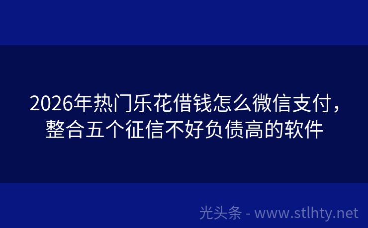 2026年热门乐花借钱怎么微信支付，整合五个征信不好负债高的软件