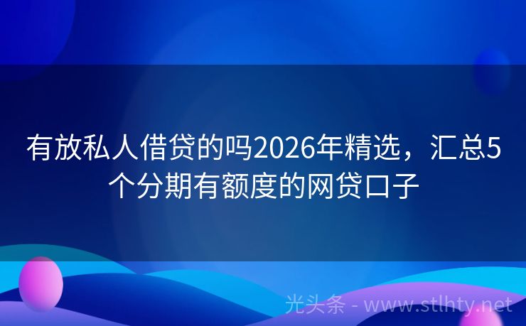 有放私人借贷的吗2026年精选，汇总5个分期有额度的网贷口子