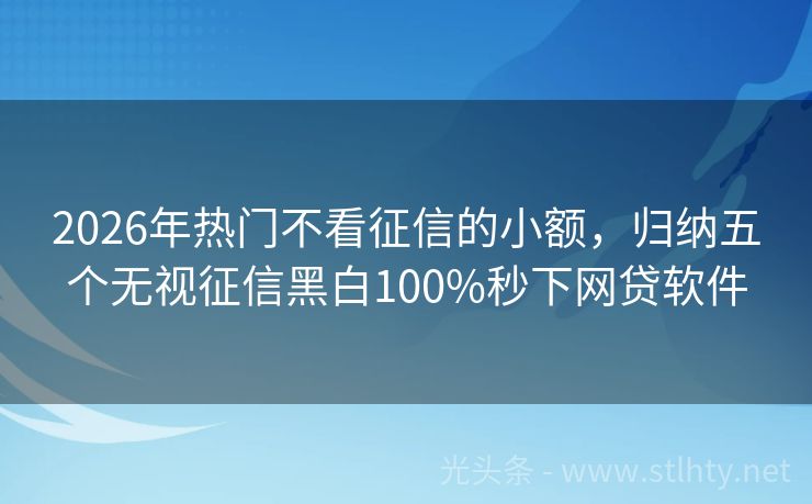 2026年热门不看征信的小额，归纳五个无视征信黑白100%秒下网贷软件