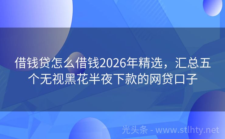 借钱贷怎么借钱2026年精选，汇总五个无视黑花半夜下款的网贷口子