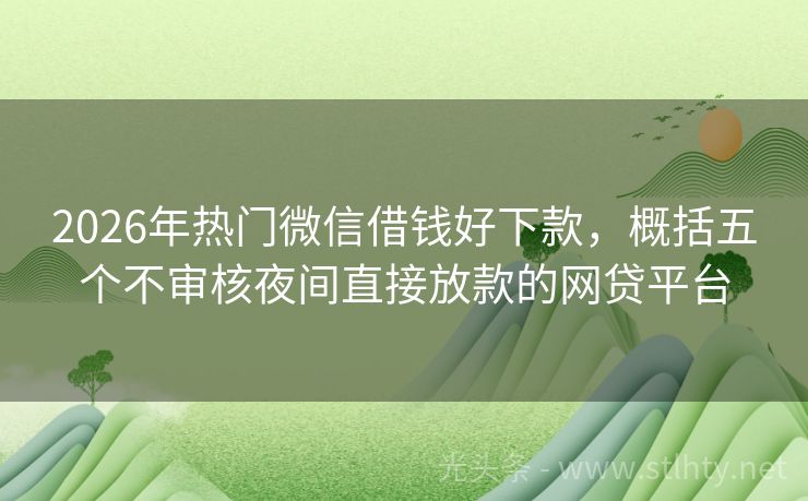 2026年热门微信借钱好下款，概括五个不审核夜间直接放款的网贷平台