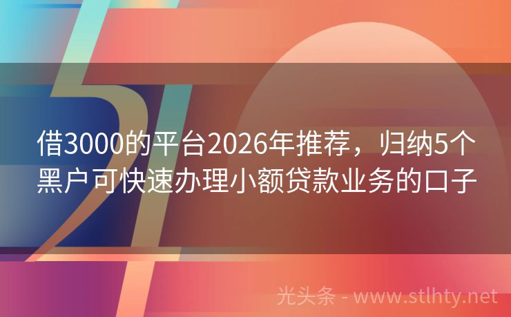 借3000的平台2026年推荐，归纳5个黑户可快速办理小额贷款业务的口子