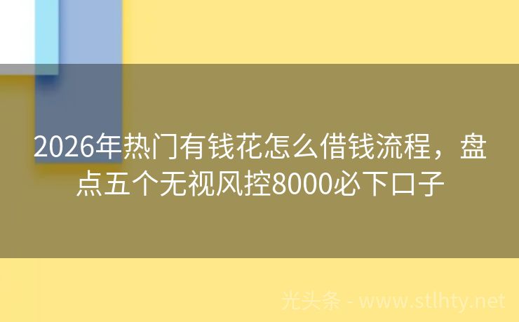 2026年热门有钱花怎么借钱流程，盘点五个无视风控8000必下口子