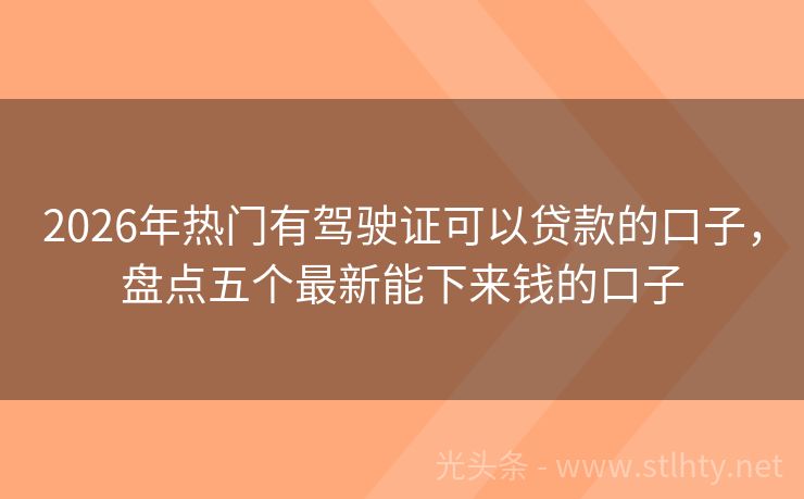 2026年热门有驾驶证可以贷款的口子，盘点五个最新能下来钱的口子