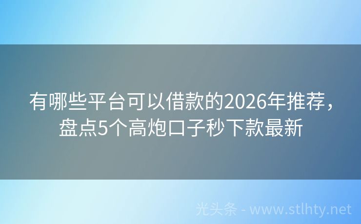 有哪些平台可以借款的2026年推荐，盘点5个高炮口子秒下款最新