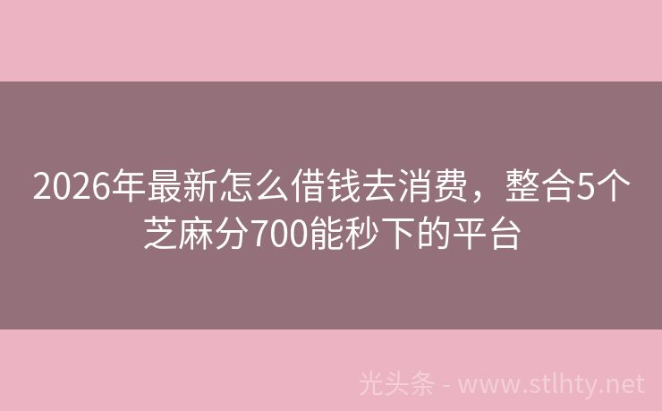 2026年最新怎么借钱去消费，整合5个芝麻分700能秒下的平台