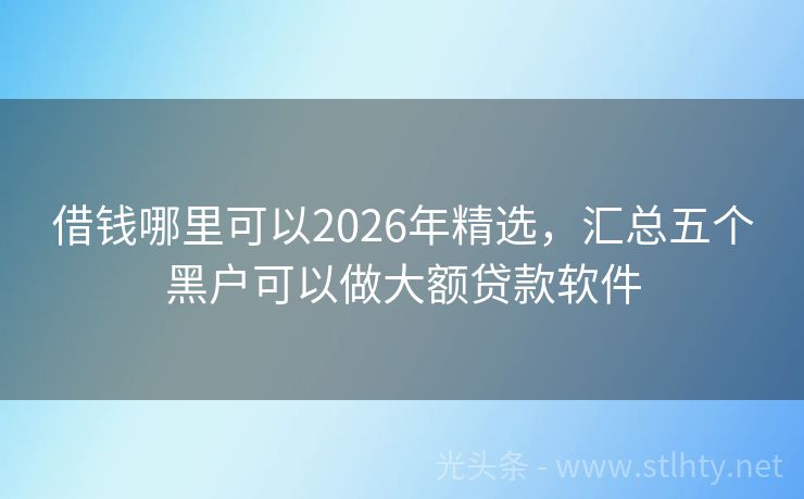 借钱哪里可以2026年精选，汇总五个黑户可以做大额贷款软件