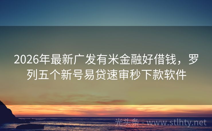 2026年最新广发有米金融好借钱，罗列五个新号易贷速审秒下款软件
