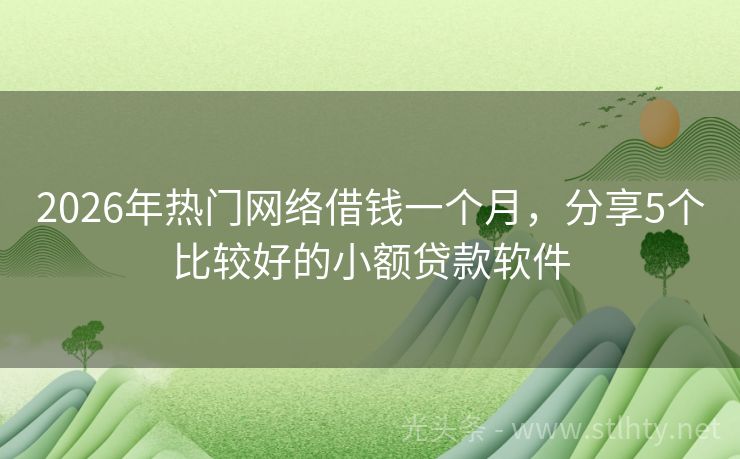 2026年热门网络借钱一个月，分享5个比较好的小额贷款软件